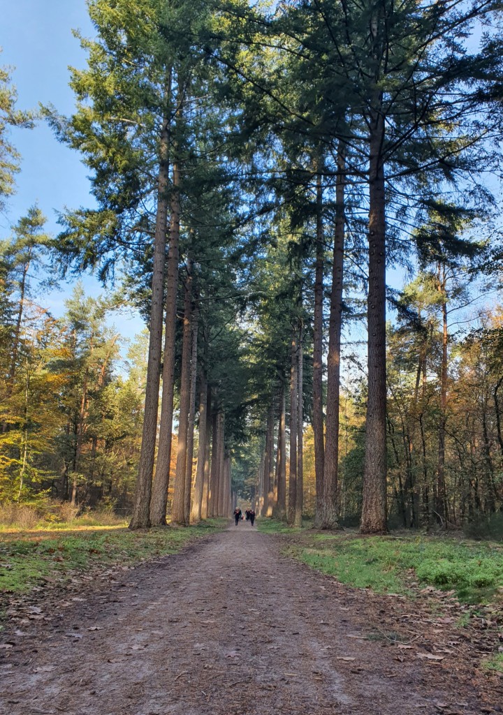 De weg naar een gezond gewicht